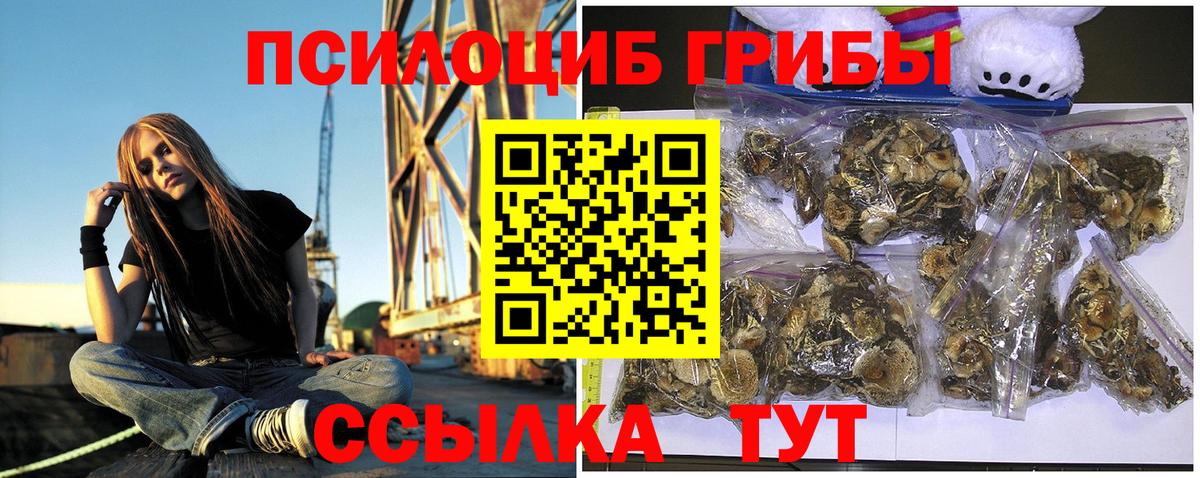 Псилоцибиновые грибы MAGIC MUSHROOMS  Вход с VPN  купить   Нефтекумск 
